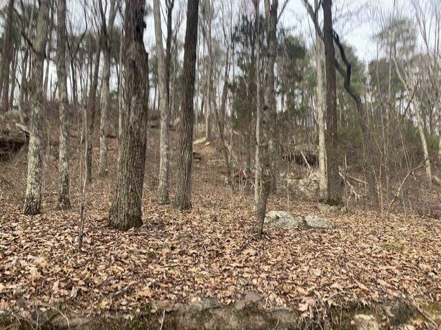 Plot For Sale In Tuscumbia, Alabama