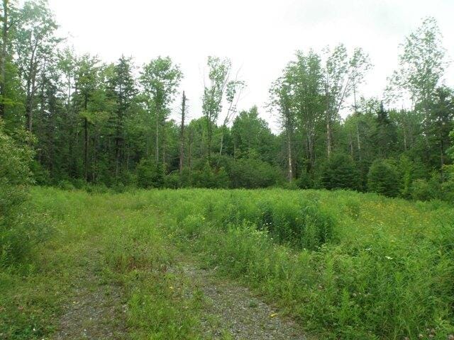 Plot For Sale In Dover, Vermont