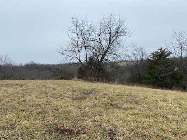 Plot For Sale In Mount Olivet, Kentucky