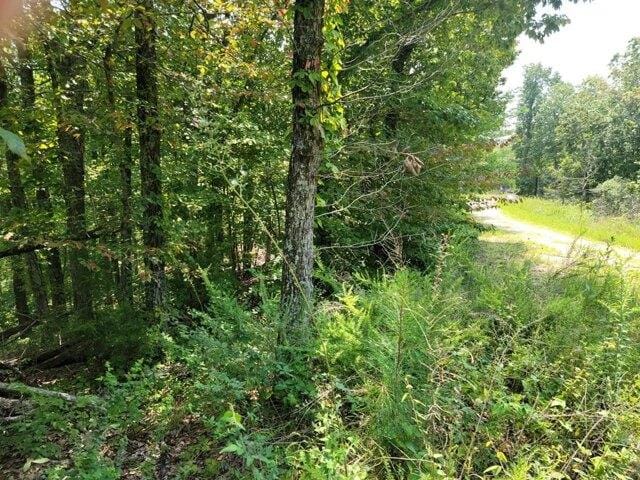 Plot For Sale In Holladay, Tennessee