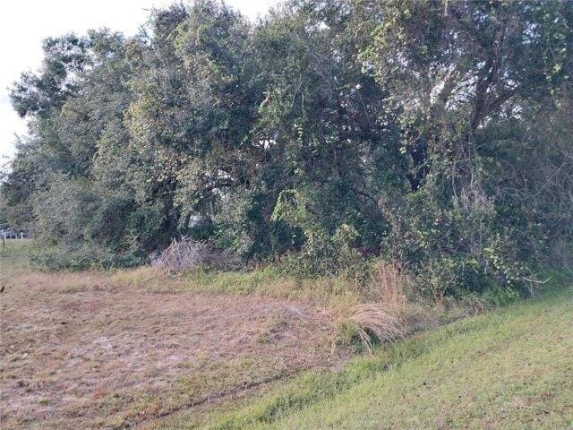 Plot For Sale In Kenansville, Florida