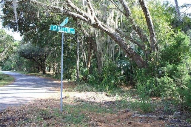 Plot For Sale In Crystal River, Florida