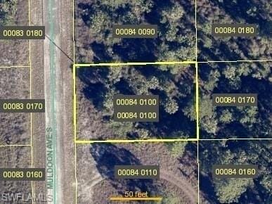 Plot For Sale In Lehigh Acres, Florida