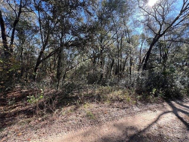 Plot For Sale In Inverness, Florida