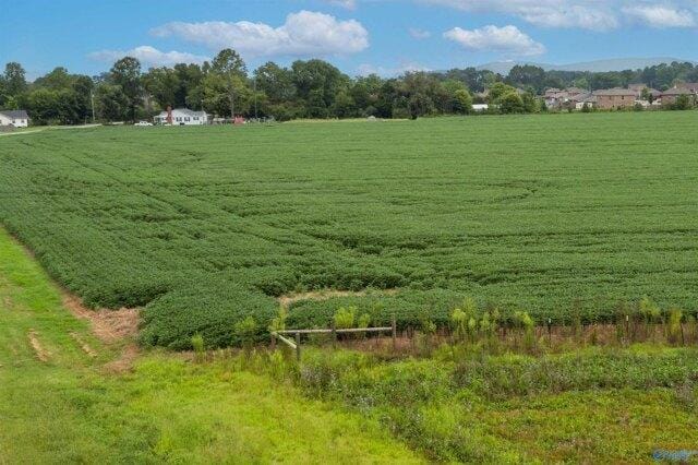 Plot For Sale In Owens Cross Roads, Alabama