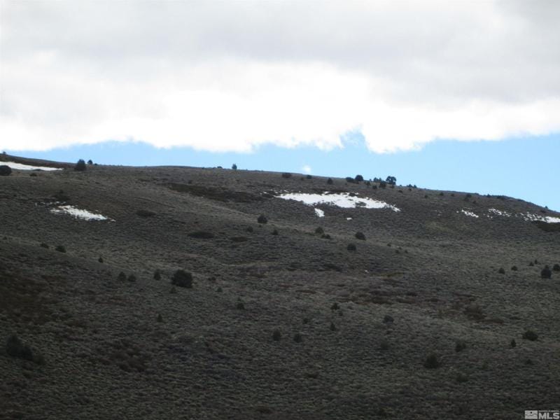 Virginia City, Storey County, NV Undeveloped Land for sale Property ID: 417692685