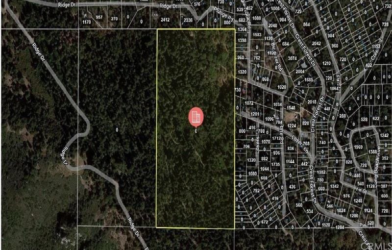 Cedarpines Park, San Bernardino County, CA Undeveloped Land for sale Property ID: 414784505