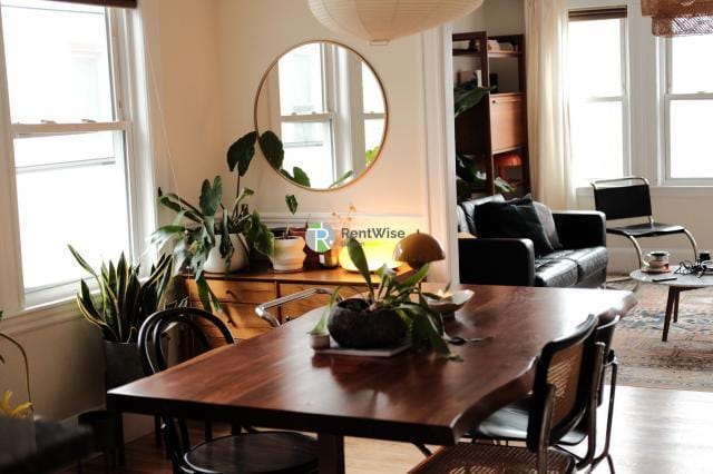 3 bedroom in Boston MA 02130 for Rent