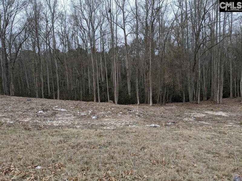 Elgin, Kershaw County, SC Undeveloped Land, Homesites for sale Property ID: 412486303
