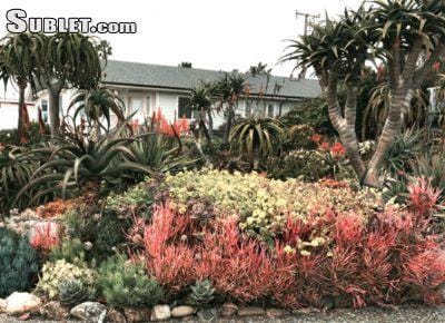 Two Bedroom In South Bay for Rent