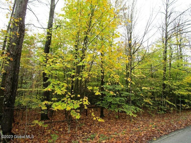 L11 PERAGLIE ROAD, Jefferson, NY 12093 Land For Sale  MLS# 202327275