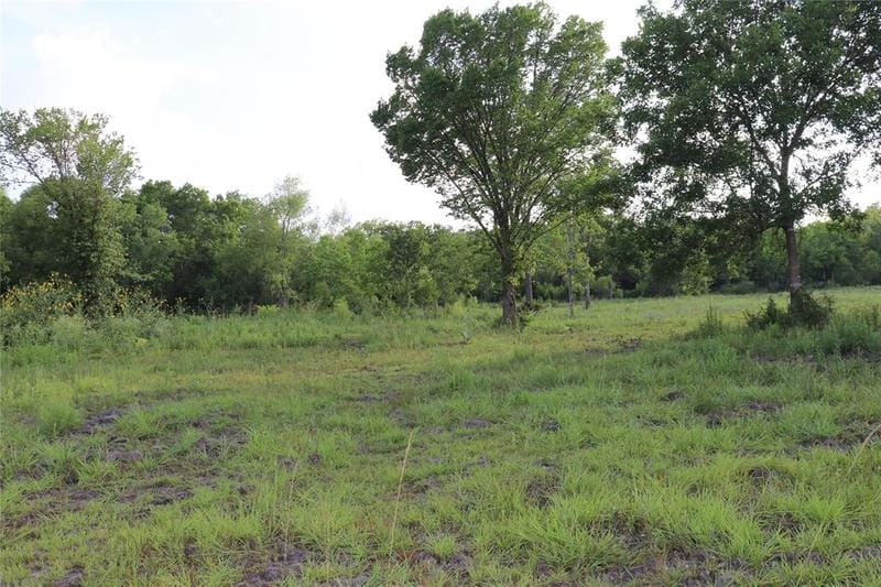 0 Massey Ranch Road, Manvel, TX 77578 for Sale