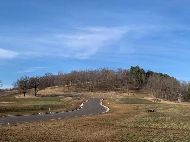 LOT 33 WILLOW COURT, Independence, WI 54747 Single Family Residence For Sale  MLS# 1542428