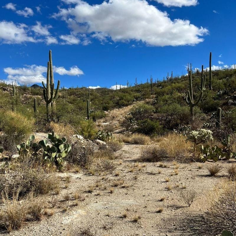 Tucson, Pima County, AZ Recreational Property, Undeveloped Land for sale Property ID: 418414067