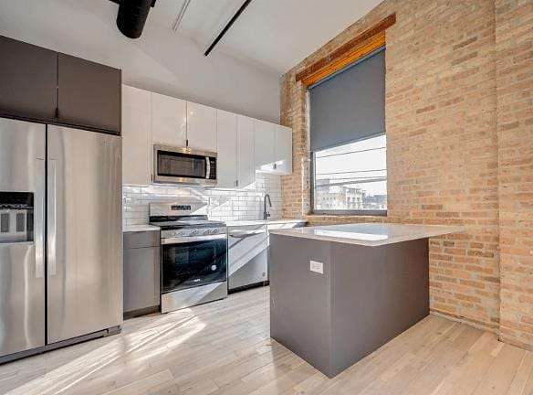 215 N Racine Ave unit 303 Chicago, IL 60607 - Home For Rent