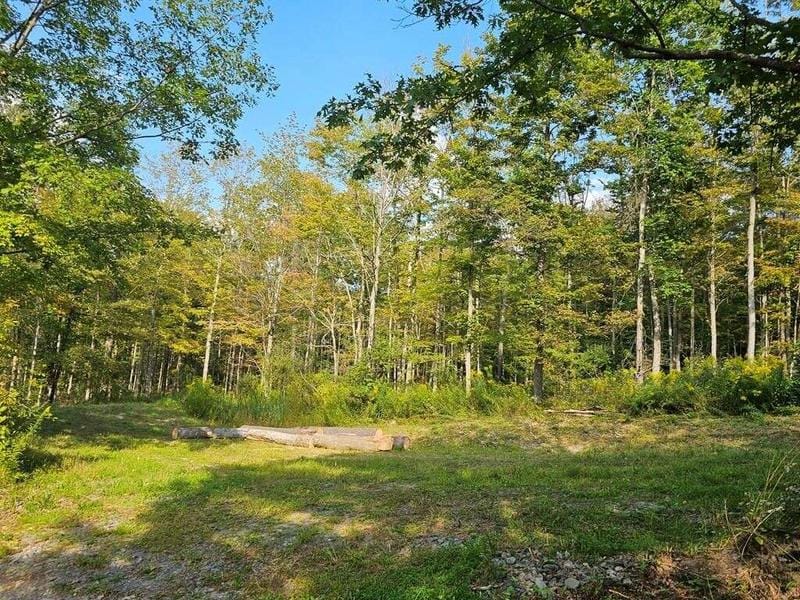 720 Steege Hill Rd. Big Flats, NY 14814  620237233 for Sale