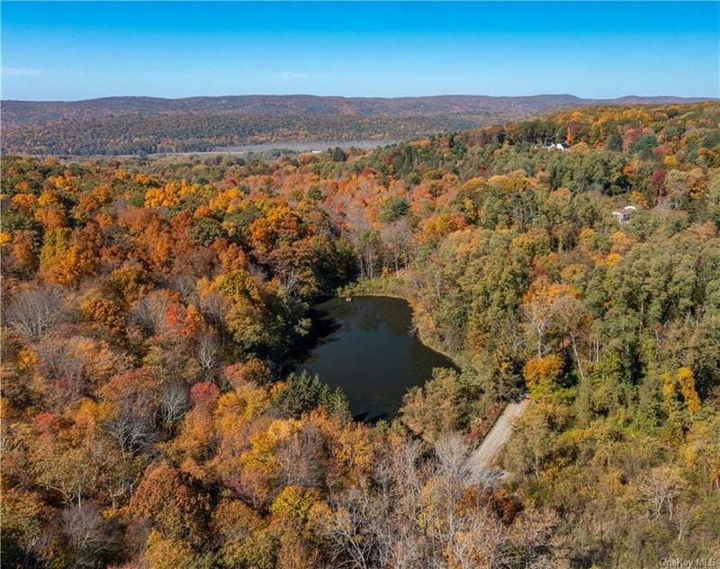 85 TRACY RD, Pawling, NY 12564 Land For Sale  MLS# H6217241