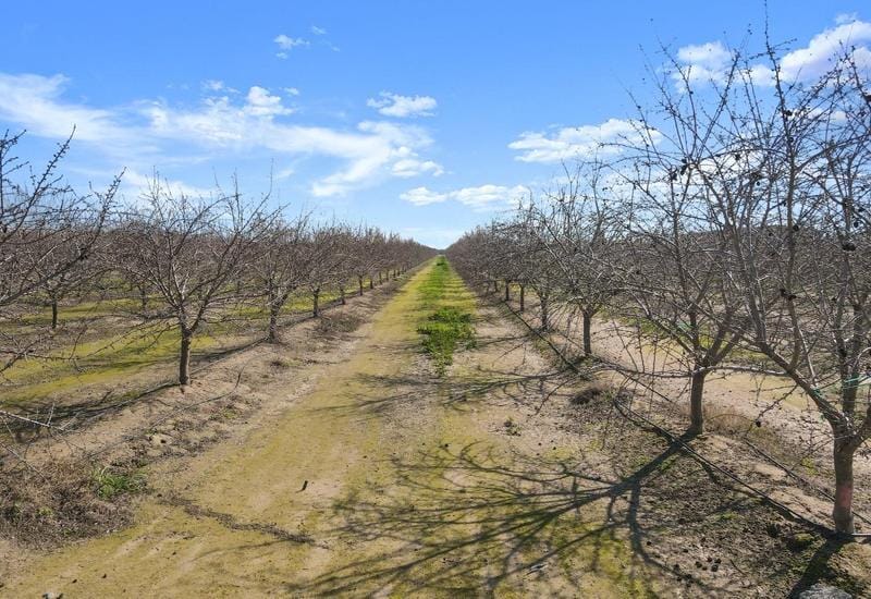 19811 Robertson Blvd, Chowchilla, CA 93610 - MLS 223012916 for Sale