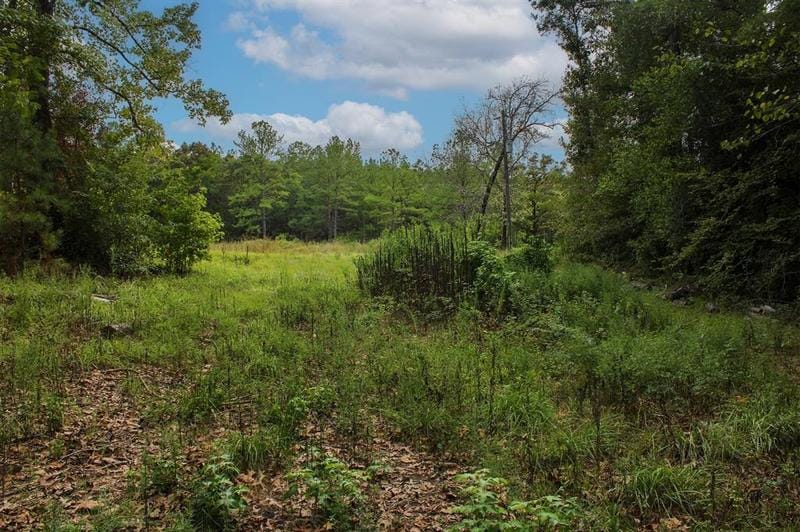 00 County Road 2141, Cleveland, TX 77327 for Sale