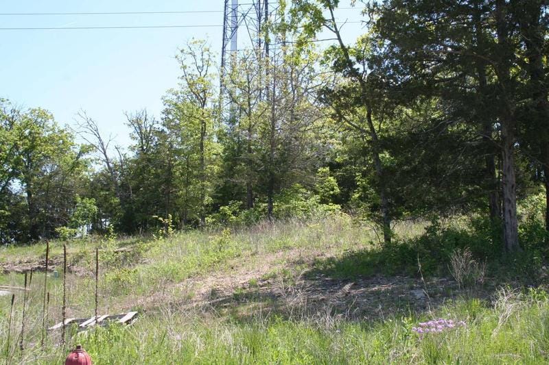 109 Deauville Court, Branson, MO 65616  605113993 for Sale