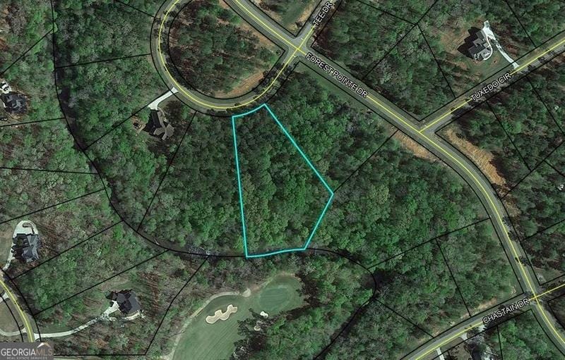 102 FOREST VIEW CIR, Forsyth, GA 31029 Land For Sale  MLS# 20168323