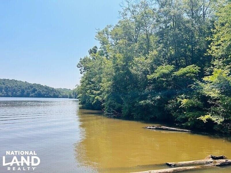 Wedowee, Randolph County, AL Undeveloped Land, Riverfront Property, Waterfront Property for sale Property ID: 418565044