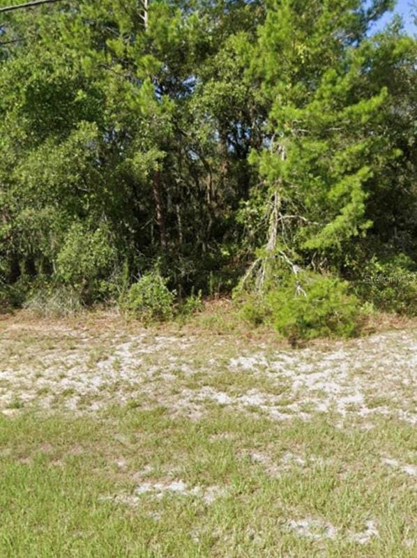 Ocala, Marion County, FL Undeveloped Land, Homesites for sale Property ID: 417355078