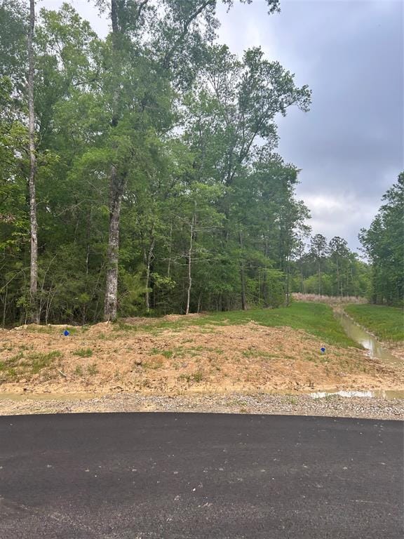 1510 County Road 632, Dayton, TX 77535 for Sale
