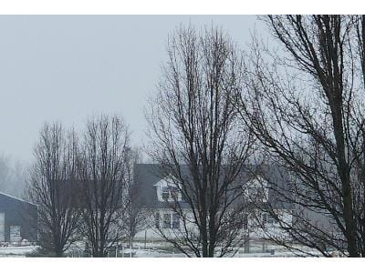 Steiner Rd for Sale