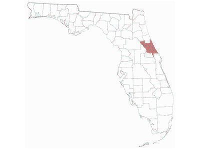 Of Interstate 95 for Sale