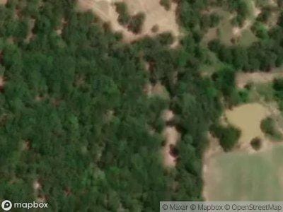 Willow Oak Ct for Sale