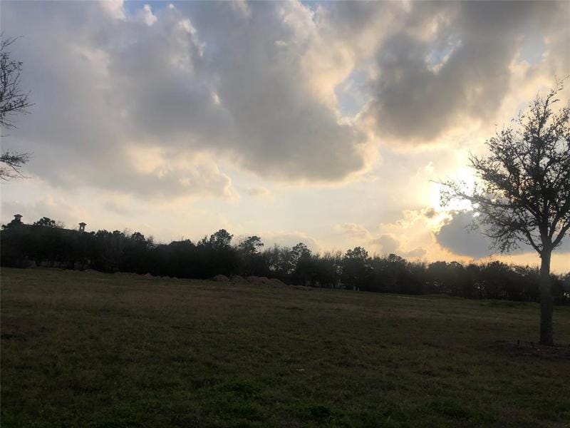 7306 Palmetto Springs Trl, Katy, TX 77493 for Sale