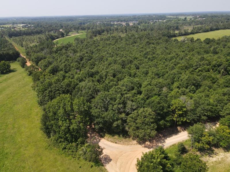 New Brockton, Coffee County, AL Homesites for sale Property ID: 418394012