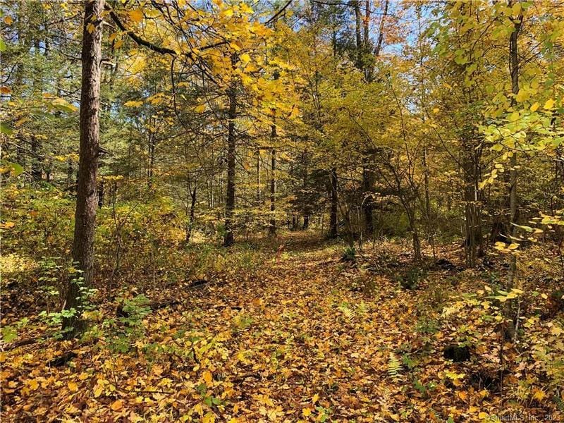 00 DUGWAY ROAD, Salisbury, CT 06068 Land For Sale  MLS# 170549452