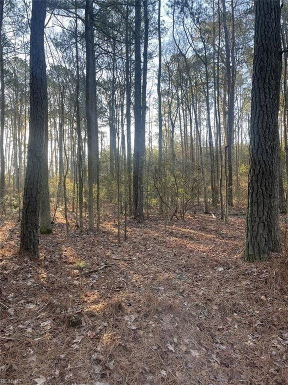 Mathews, Mathews County, VA Undeveloped Land, Lakefront Property, Waterfront Property for sale Property ID: 415700357
