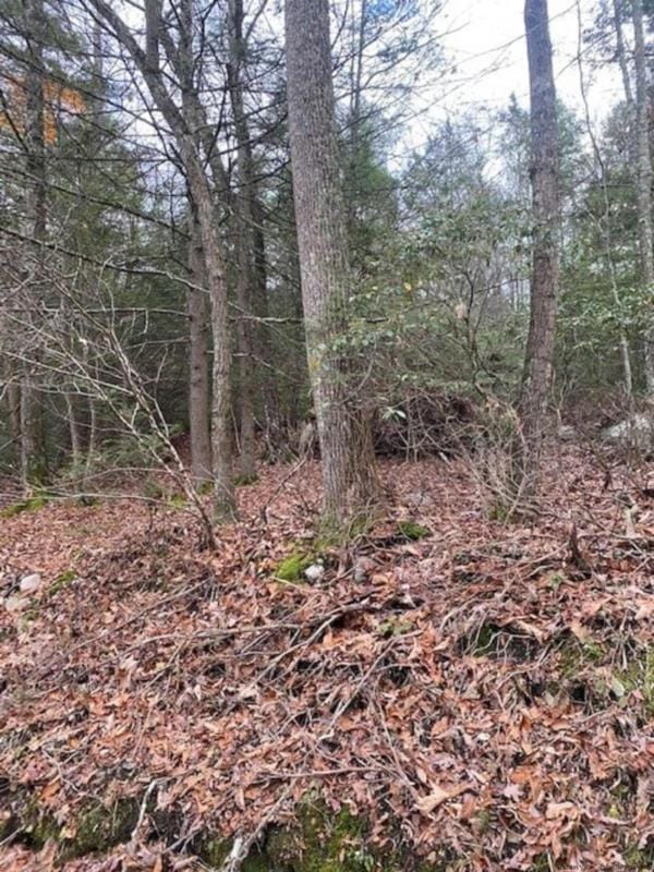 141 BRANDT RD, Cuddebackville, NY 12729 Land For Sale  MLS# 20233015