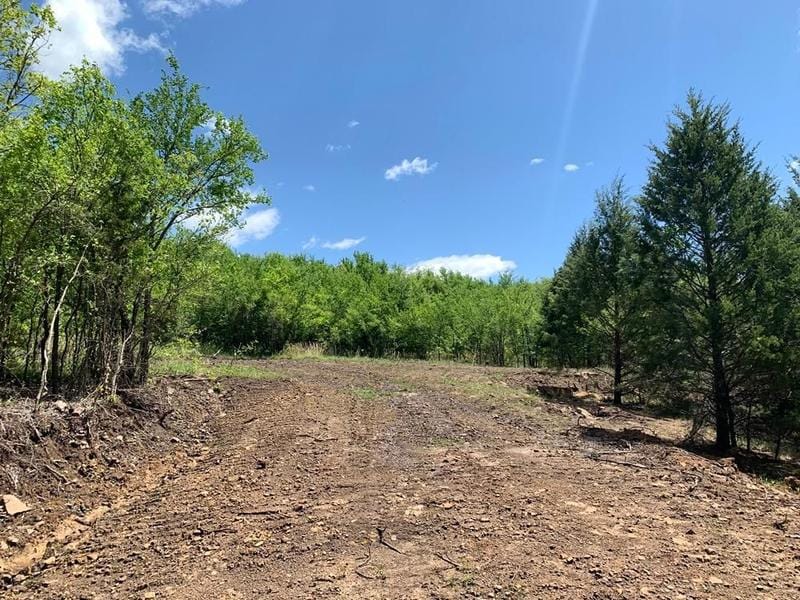Pharoah, Okfuskee County, OK Recreational Property for sale Property ID: 415831286
