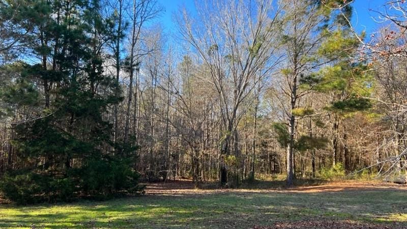 Marietta, Cass County, TX Recreational Property, Undeveloped Land, Hunting Property for sale Property ID: 418541656
