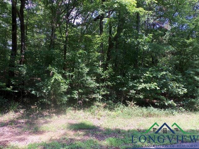 TBD--LOT 9 WILLOW SPRINGS ROAD, Kilgore, TX 75662 Land For Sale  MLS# 20214038
