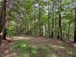 1533 Crystal Ln, Ranger, GA 30734 - MLS 20147119 for Sale