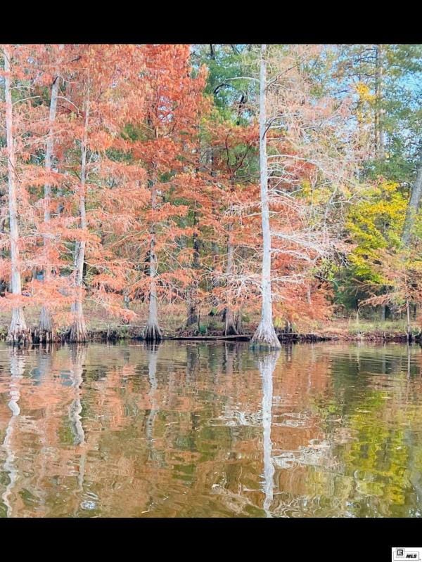 0000 TRENON LANE, Farmerville, LA 71241 Land For Sale  MLS# 208045