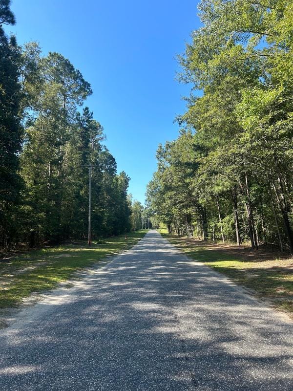 Summerton, Clarendon County, SC Farms and Ranches, Timberland Property for sale Property ID: 418289839