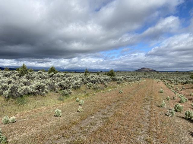 Northern California Land 1.07 Acres - Modoc Forest Area for Sale