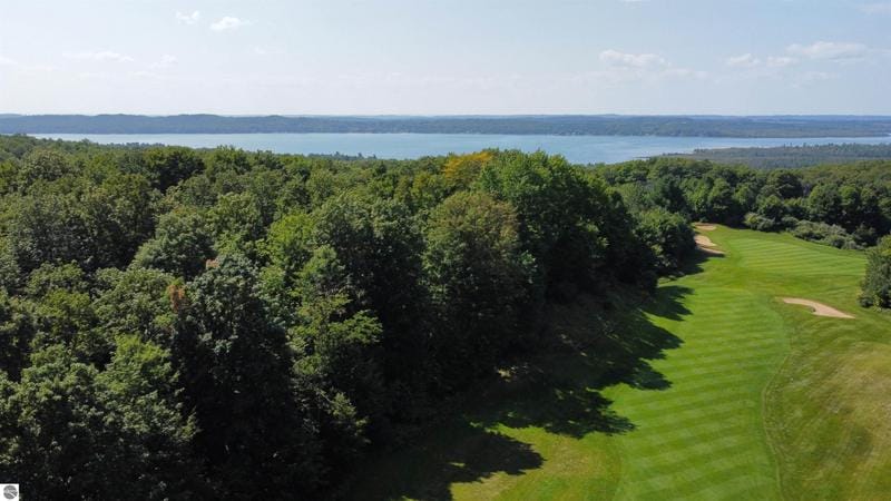 Bellaire, 11 ACRE WOODED parcel with direct frontage along for Sale