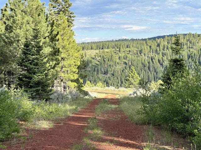 N. California Land for Sale, 0.89 acres, Power Close