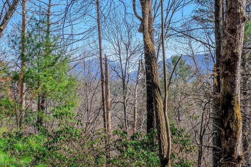 Ellijay, Are you ready to build your dream home in the North for Sale