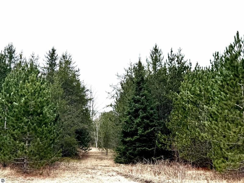 Kalkaska, Experience country living at its finest just a for Sale