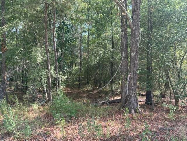 TBD Brackenridge, Livingston, TX 77351 for Sale