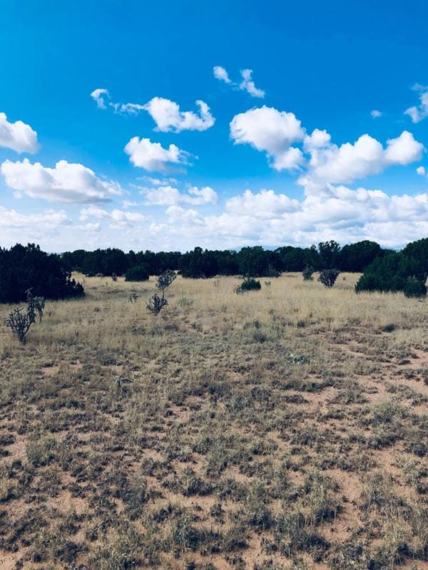 10 MISSION HILLS RD, Estancia, NM 87016 Land For Sale  MLS# 1030514