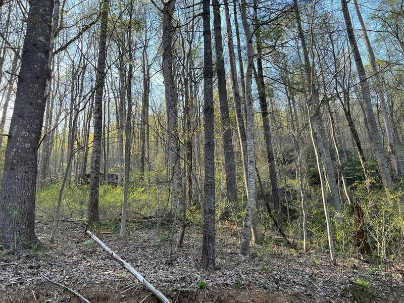TBD BRIAR ROCK TRAIL, Fancy Gap, VA 24328 Land For Sale  MLS# 88780